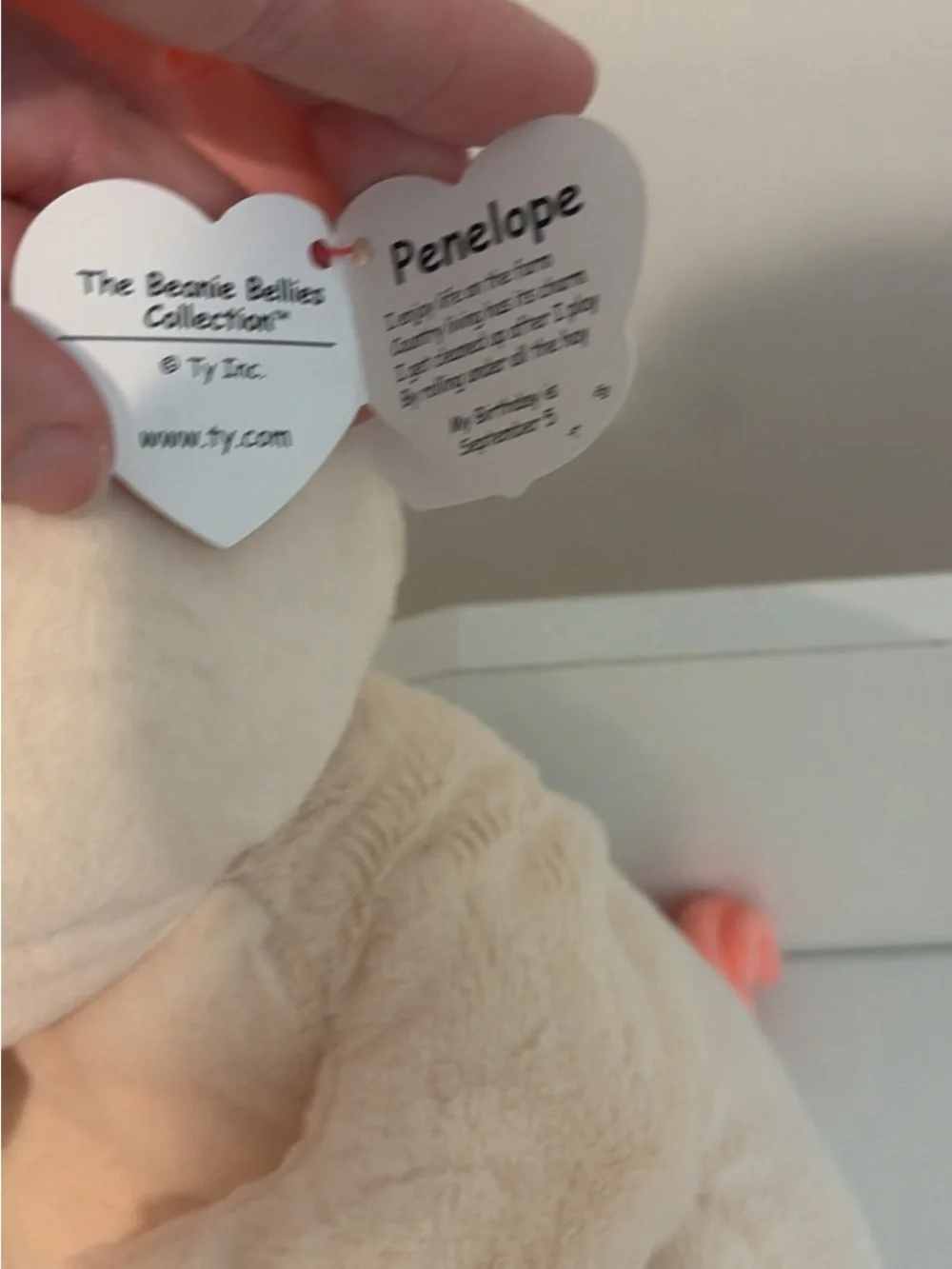 Ty Plush Pair - Yellow Tabby Cat & Cream Pig